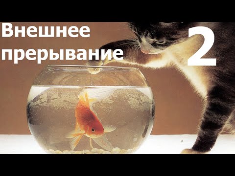 Видео: AVR 13# Внешние прерывания 2, PIN CHANGE.