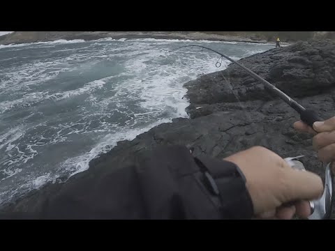 Видео: Риболов на лефер - 25.09.25