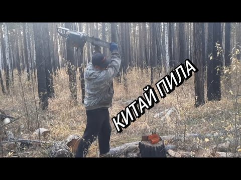 Видео: ПИЛИЛИ  КИТАЙСКОЙ ПИЛОЙ ZIMANI БОЛЬШОЙ ЛИСТВЯК!!!