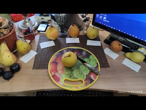 Видео: Огляд зимових сортів груш