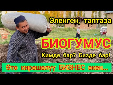 Видео: Эленген, таза БИОГУМУС кимде бар?  /  БИЗДЕ бар  /  СӨӨЛЖАН багып БАЙЫГЫЛА!