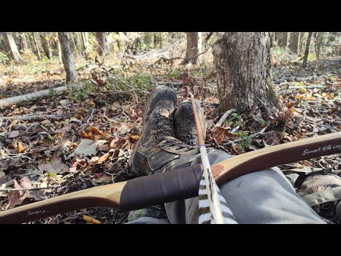 Видео: Охота на крупного кабана на болоте