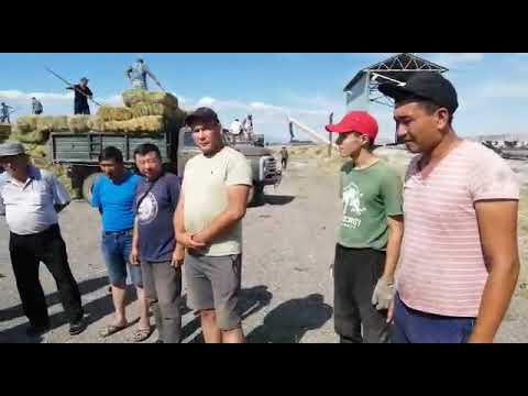 Видео: Маңғыстау ағайындыларға көмек,  шөп жинау Масақ ауылы тупик