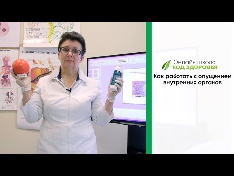 Видео: Как работать с опущением внутренних органов.