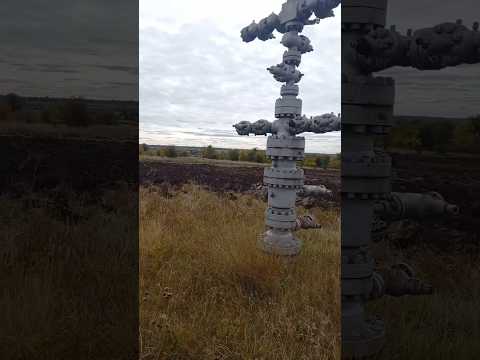 Видео: Багато балакати - а ремонтувати треба #бульдозер #фермер #добрива #agro #поле #садогород #т130