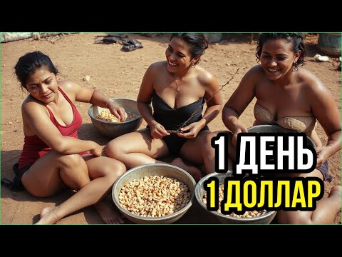 Видео: 😱 15 ФАКТОВ о КЕНИИ, которые ВЗОРВУТ ТЕБЕ МОЗГ — от ПЛАСТИКОВОГО ЗАПРЕТА до ЛЬВИНОГО КРИКА!