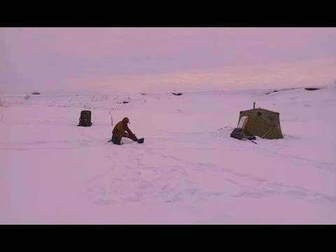 Видео: Праздничный семейный выход на рыбалку. 23 февраля на льду.