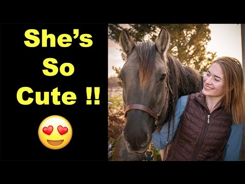 Видео: КАК ПОДРУЖИТЬСЯ С НОВОЙ ЛОШАДЬЮ (3 способа) 🐴