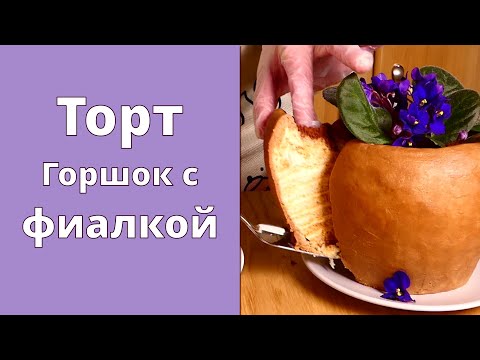 Видео: ЭТО ТОРТ!!! Без мастики 🌸 Горшок с фиалками 🍰 Вкусно до последней крошки 😋