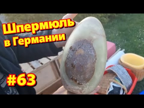 Видео: Что выбрасывают немцы // Шпермюль в Германии