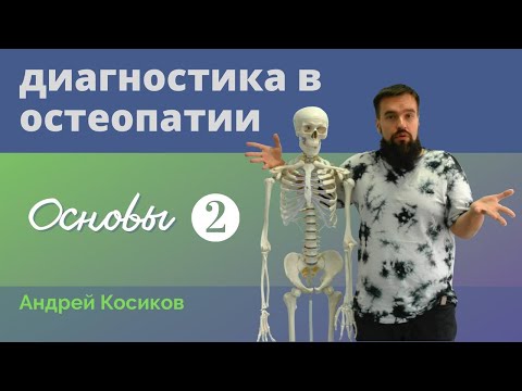 Видео: Остеопатия. Основы диагностики - 2. Андрей Косиков