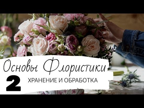 Видео: Основы Флористики. Урок 2. Хранение и обработка срезанных цветов.