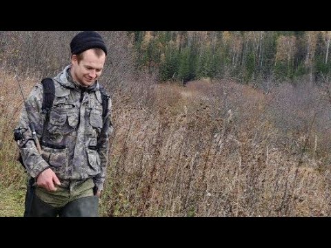 Видео: Информация. 