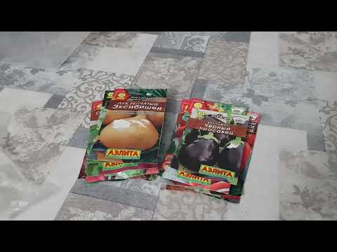 Видео: Мир был хорош, и Мурза опять насобирала блох. (2 часть) 25.10.25