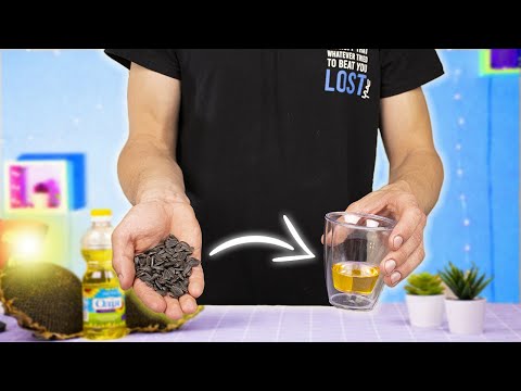 Видео: СКОЛЬКО МАСЛА ПОЛУЧИТСЯ ИЗ 1 КГ СЕМЕЧЕК ?