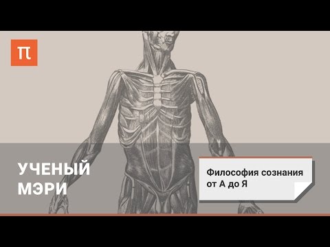 Видео: Философия сознания: Ученый Мэри