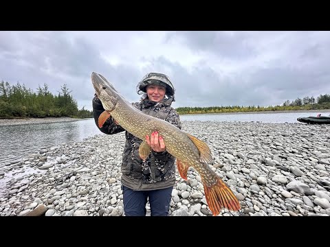 Видео: ЩУКА ПОЧТИ КАЖДЫЙ ЗАБРОС.