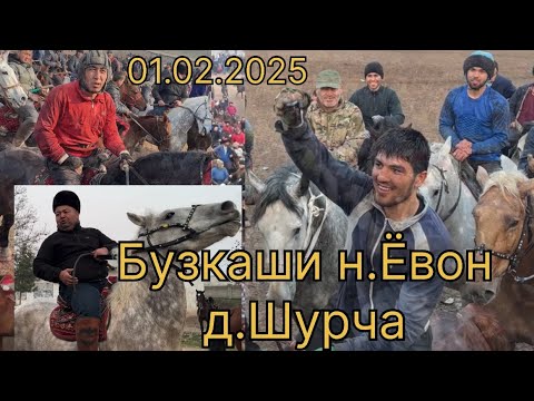Видео: Бузкаши н.Ёвон д.Шурча 01.02.2025 #бузкаши #купкари #улок #laqaynews #rek