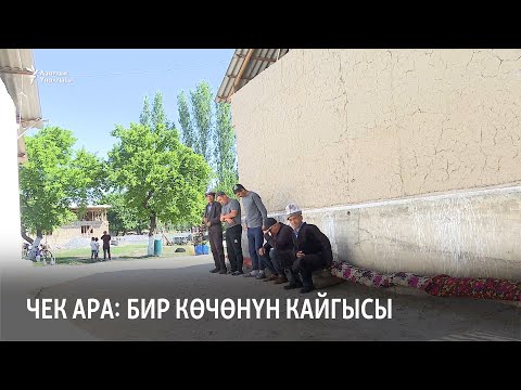 Видео: Чек ара: бир көчөнүн кайгысы