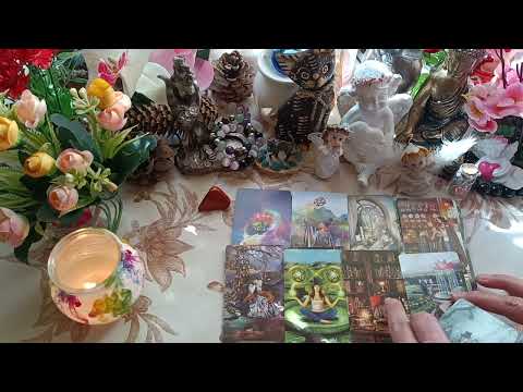 Видео: Какъв е новия партньор 😉🎁🔥