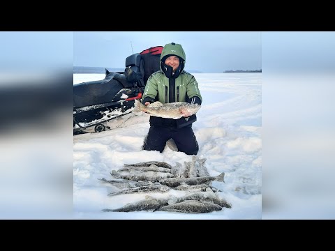 Видео: Ловля Судака в Глухозимье. Ратлины которые ловят! Рыбалка на Каме Берсут-Чистополь