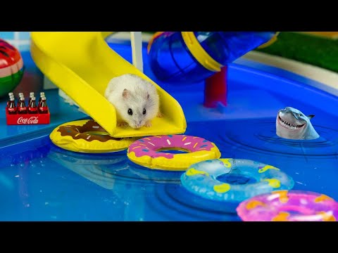 Видео: 🐹MEGA HAMSTER RACE 🐹 лабиринт с ловушками для хомяка🐹 Minecraft Maze