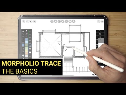 Видео: Введение в Morpholio Trace: основы