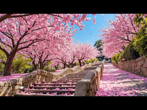 Видео: Музыка для расслабления и душевного тепла🌿Спокойное настроение и покой, перестань думать