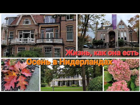 Видео: Живут же люди ! Жизнь непредсказуема, поэтому каждый момент очень важен ! 