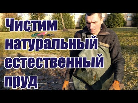 Видео: Чистим натуральный естественный пруд