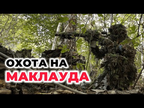 Видео: ОХОТА НА МАКЛАУДА | СТРАЙКБОЛ СНАЙПЕР | AIRSOFT SNIPER GAMEPLAY