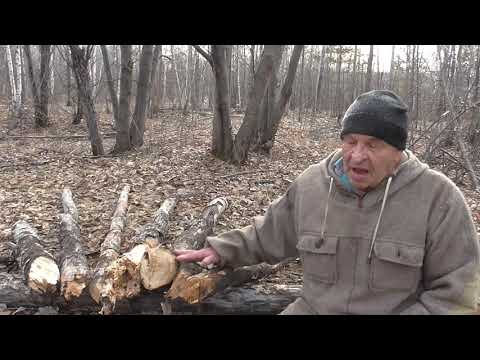 Видео: ВСЕСЕЗОННЫЙ , ВСЕПОГОДНЫЙ  ЭВЕНКИЙСКИЙ КОСТЁР часть 1