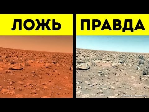 Видео: 9 Фактов, в Которые Давно Пора Перестать Верить