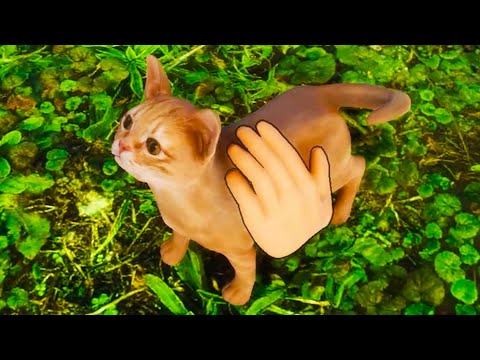 Видео: Котята и Щенки в Приюте  для Кошек и Собак #14 Animal Shelter - Puppies & Kittens DLC на Пурумчата