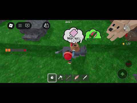 Видео: 11 ноября 2025 г.