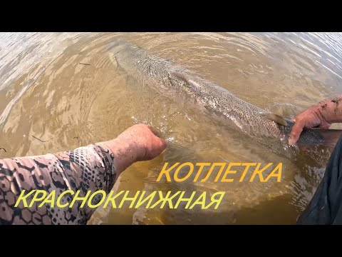 Видео: Ловля тайменя на Набильском заливе! 