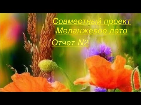 Видео: СП Меланжевое лето. Отчет 2. #меланжевоелето