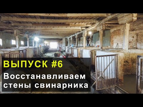Видео: Рассказываю что сделали по ремонту в свинарнике. Выпуск 6