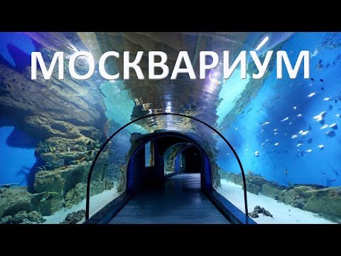Видео: Москвариум на ВДНХ.