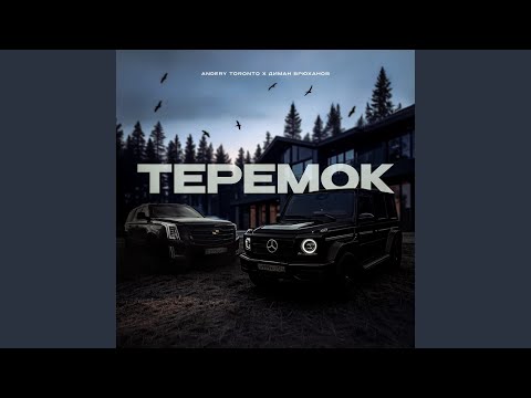 Видео: ТЕРЕМОК