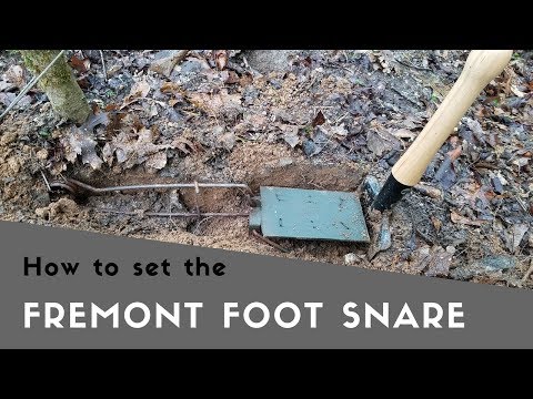 Видео: Фремонт Фут Снейр — стоит ли оно того?