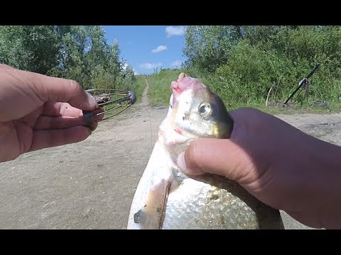 Видео: Донки на леща! Рыбалка на Оке! Рыбалка на донки!