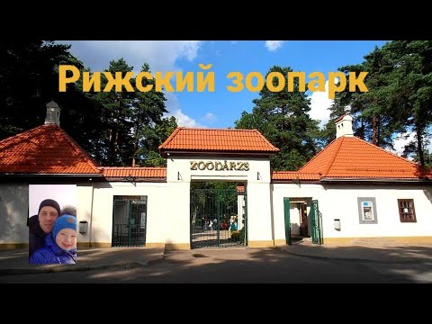 Видео: Рижский зоопарк.Летняя прогулка по зоосаду.
