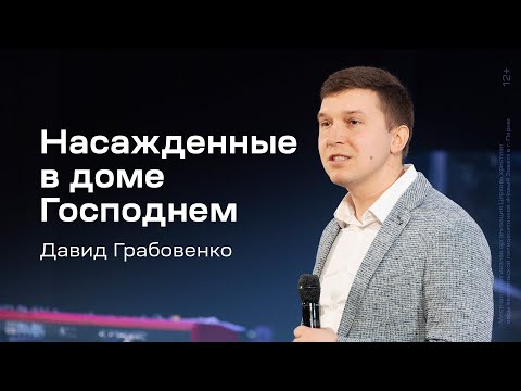 Видео: Давид Грабовенко: Насажденные в доме Господнем (3 марта 2024)