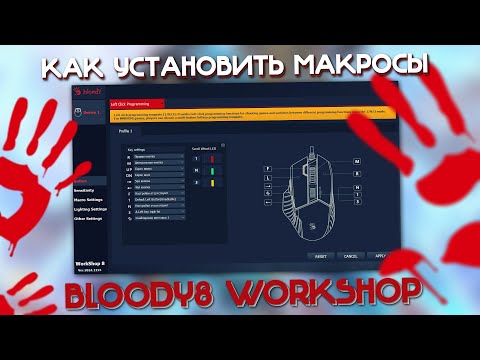 Видео: Макросы на Bloody \ Блади 8 Workshop. Как установить?
