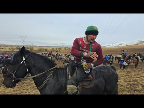 Видео: Жалал-Абад  Бугункү Улак  Марат Канат Балбандар ноября 2025 г.