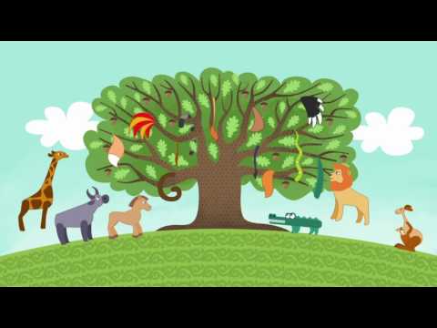 Видео: Мультфильм Койрыклар («Хвосты»). На татарском языке. Абдулла Алиш.