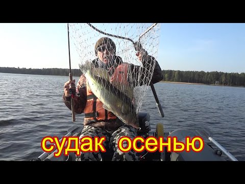 Видео: Рыбалка на Верхней Волге в Тверской области. Судаки радуют поклевками.
