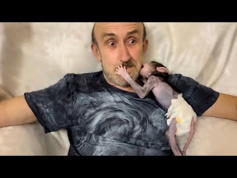 Видео: Тихий вечер перестает быть тихим,  конда по тебе СКАЧЕТ Степка!