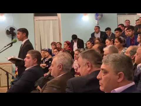 Видео: Богар павлик киш